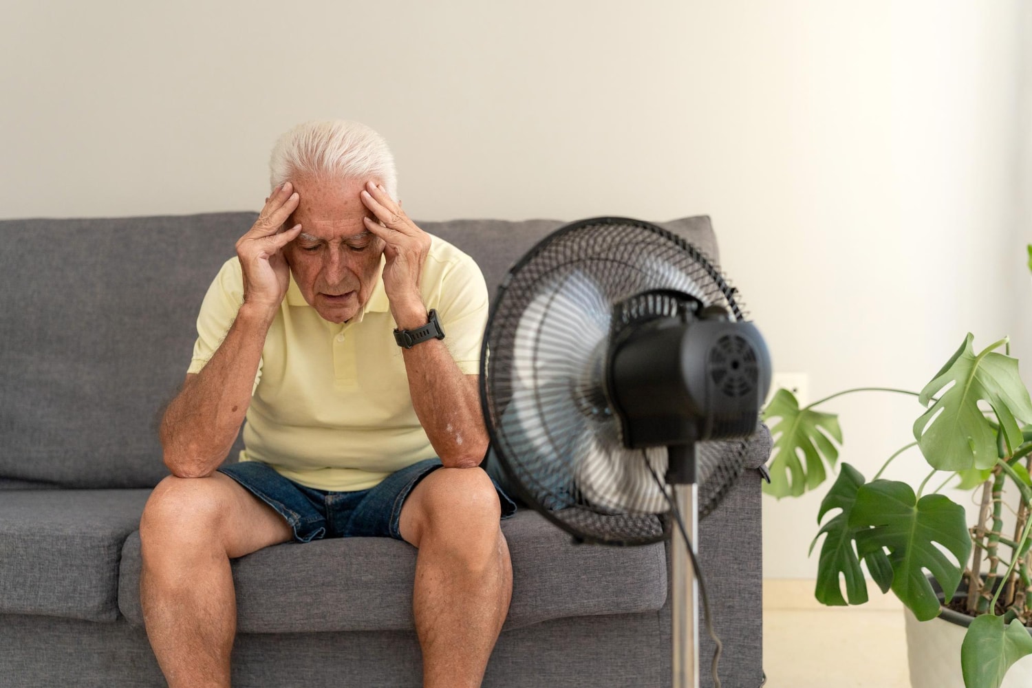 Care Home Heat